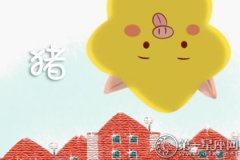 明年是什么生肖 2019年属什么