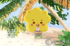 2019年什么生肖 十二生肖排序