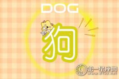 值得宠爱 你是帮夫特质还是好命特质生肖女