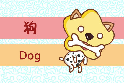 属狗 属狗
