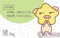 沉沦 最喜欢逛夜店的生肖