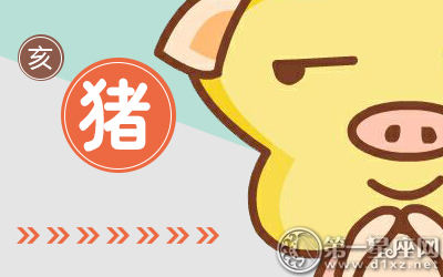 属猪 属猪