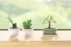 12生肖的人际关系隐患