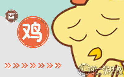 鸡 鸡