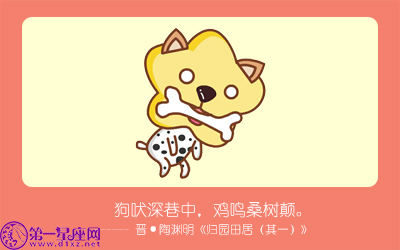 狗 狗