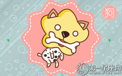 属狗 属狗