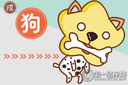 属狗 属狗