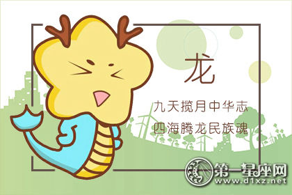 属龙 属龙