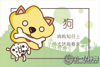 属狗 属狗