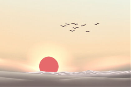 属虎 属虎