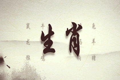 属马 属马