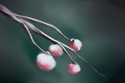 生肖解说 生肖解说