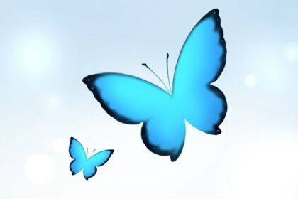 属虎 属虎