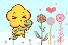 太优秀了 难怪这些生肖女找不到男朋友
