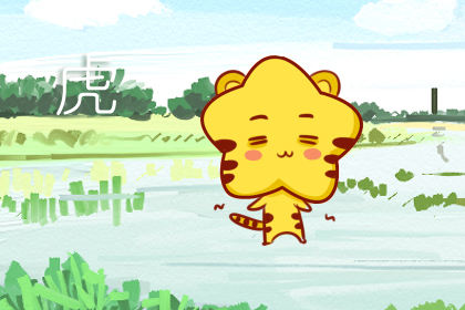 属虎 属虎