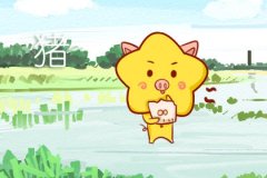 旺夫的三种生肖女