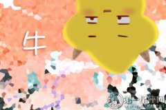 不会因为你胖而嫌弃你的生肖男