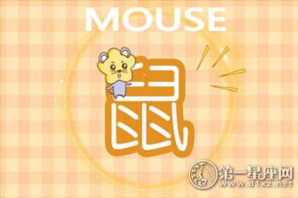 鼠 鼠