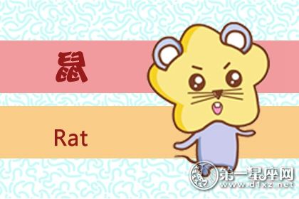 鼠 鼠
