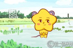 2018年十二月属鼠财运预报