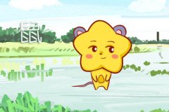 2019年属鼠什么运最好