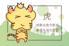 第一运程：2019年属虎人的全年运势