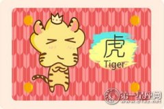 属虎会因为什么而单身一辈子