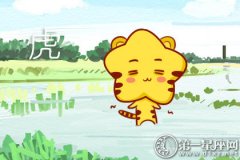 属虎如何应付阳奉阴违的人