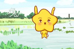 属兔的爱情容易面临什么困境