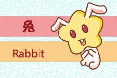和属兔成为初恋是什么样的体验