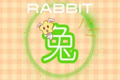 属兔女如何高姿态地活着