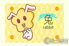 属兔会因为什么而单身一辈子
