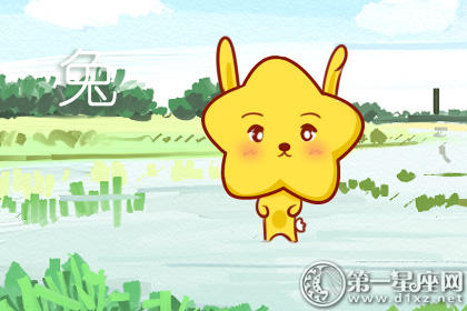 属兔 属兔