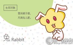 属兔分手后会做哪些伤害自己的举动