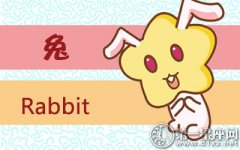 属兔女生会因为什么而成长