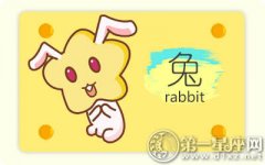 属兔人生希望破灭了会怎样