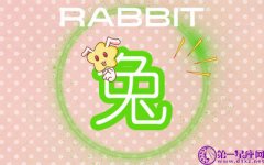 什么事会让属兔女婚姻危机感倍增