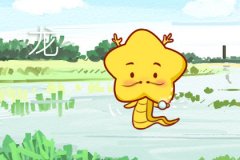 属龙男想要分手会用什么办法