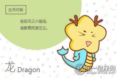 2019年猪年属龙的属相婚配表