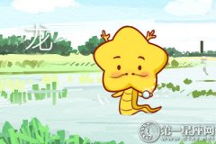 属龙女和闺蜜聚会都爱聊什么