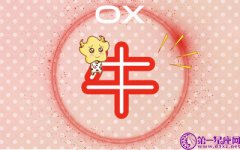 属龙的爱情是在什么时候出现的呢