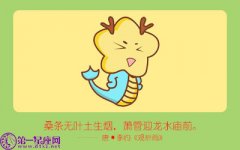 属龙2018年要防身边什么人