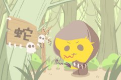 属蛇的是什么命