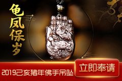2019年属蛇财运预测