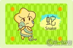 属蛇会因为什么而单身一辈子