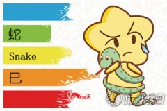 2019年属蛇1月运程解析
