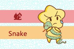 属蛇女朋友会因为什么拉黑你