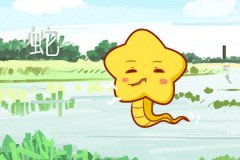 2019年属蛇的贵人 生肖蛇最倒霉的年龄