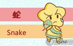 属蛇发财后会做什么