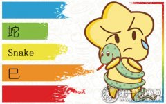 属蛇对于同性恋的态度